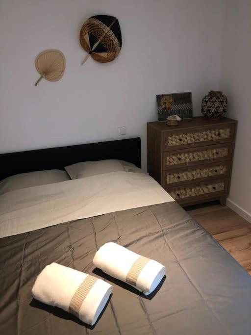 Lezennes Appartement Cosy-Grand Stade Villeneuve D'Ascq מראה חיצוני תמונה