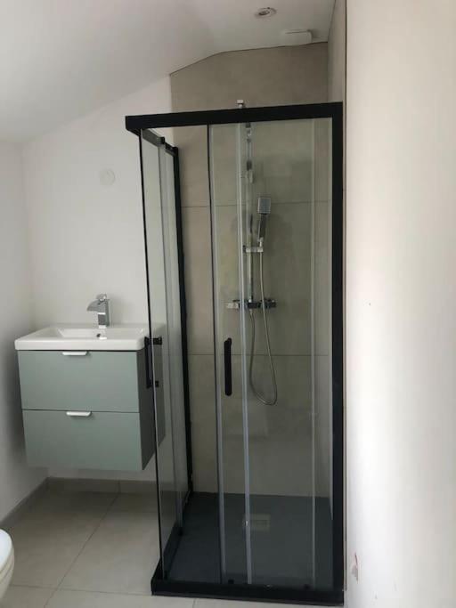 Lezennes Appartement Cosy-Grand Stade Villeneuve D'Ascq מראה חיצוני תמונה
